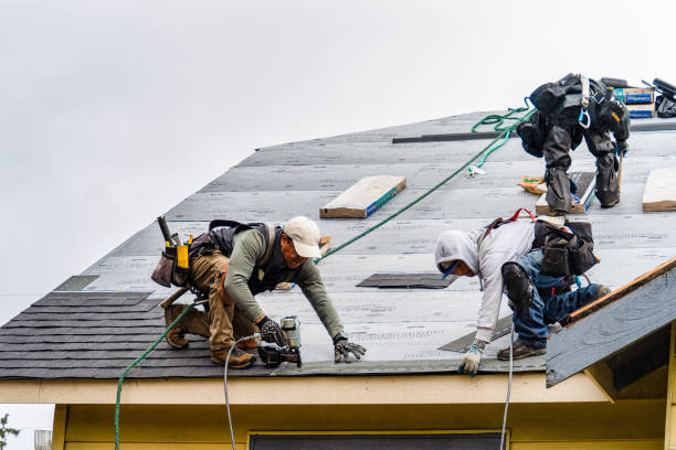 Professional Emergency Roof Repair technician working in Elizabethport, NJ